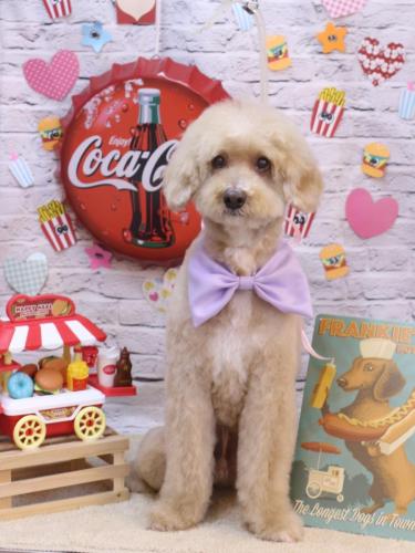 20230902アロマくん